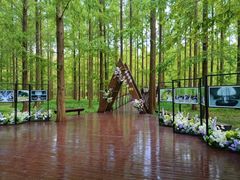 -黄海国家森林公园