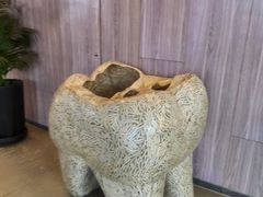 -哈尔滨圣安口腔专科医院