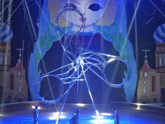 -俄罗斯国家大马戏团