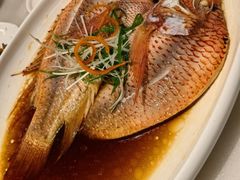 -华盛丰温州大排档(东三环南路店)