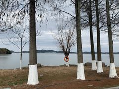 -东钱湖小普陀景区