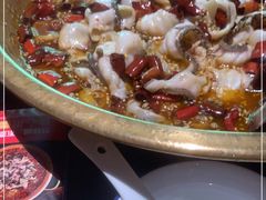 -蜀都丰 正宗水煮鱼(建德天城店)