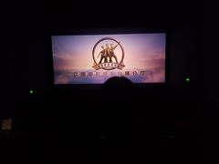 -幸福蓝海国际影城(河西店)