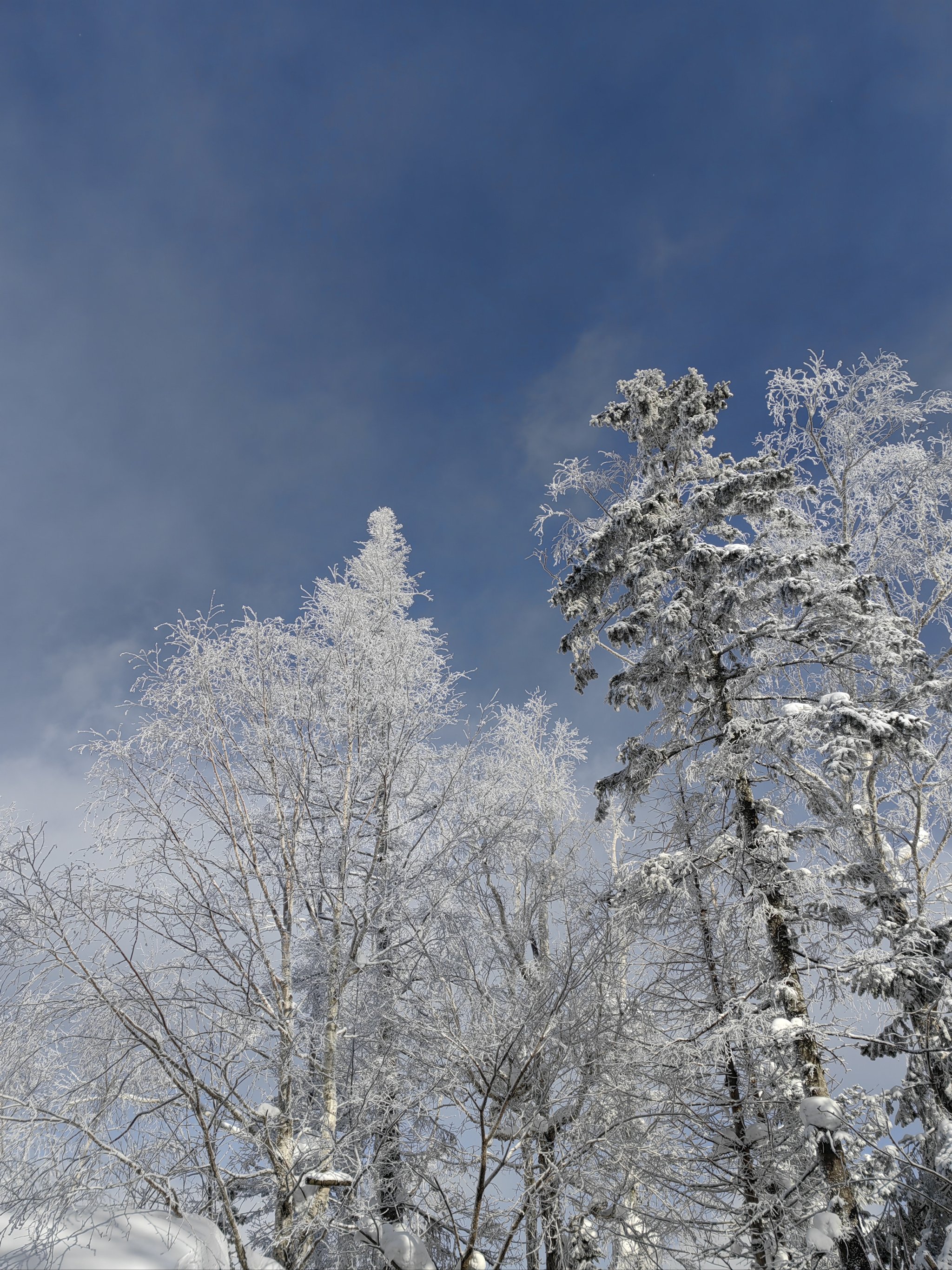 最美的景色雪景图片