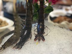 -德米火锅(深圳湾1号旗舰店)