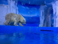 -多彩贵州城极地海洋世界