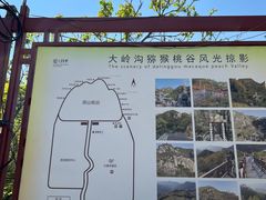 -大岭沟猕猴桃谷风景区