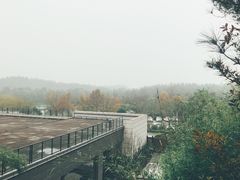 -天目湖涵田半山温泉