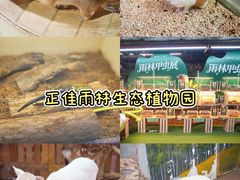-正佳雨林生态植物园
