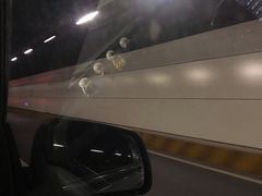 -胶州湾海底隧道