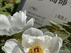 -太阳宫公园