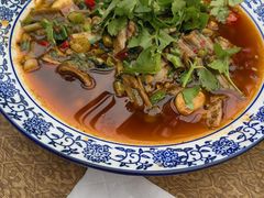 -苏记溪河鲢鱼庄(天府新区店)