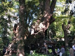 -来宫神社