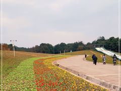 -保利石象湖景区