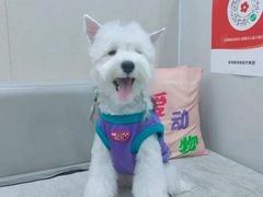 -安安宠医宠物医院·异宠·犬猫内科(岳阳分院)