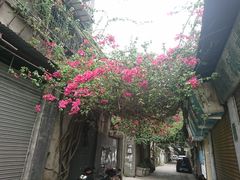 -长平老姿娘夜粥(平东一街店)