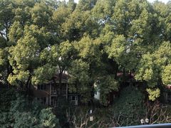 -上海虹桥迎宾馆