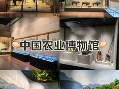 -中国农业博物馆