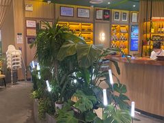 -润园四季椰子鸡火锅(南山海岸城店)