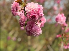 -贵阳市花溪国家城市湿地公园