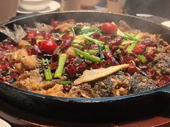 -老板恋上鱼(恒隆广场店)