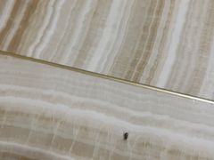 -极乐汇汗蒸会馆(杭州店)