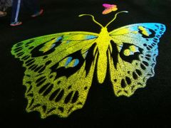 -锦江乐园舞狸花花游园会(夜场专享)