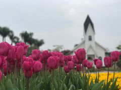 -厦门园林博览苑