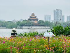 -顺峰山公园