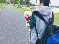 -上海月湖雕塑公园