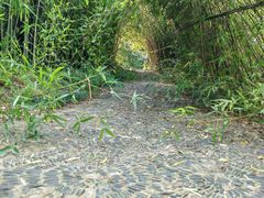 -洛阳市隋唐城遗址植物园