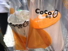 鲜芋青稞醇牛奶-CoCo都可(光谷天地店)