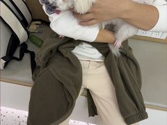 -瑞派康怡24h宠物医院·犬猫医疗中心·微创绝育(瑞景分院)