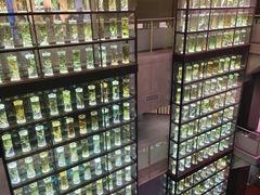 -广东中医药博物馆