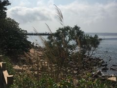 -东澳岛