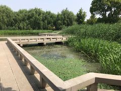 -东山风景区(洞庭东山)