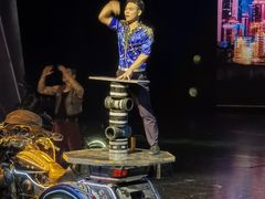 -重庆国际马戏城