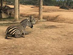 -杭州野生动物世界