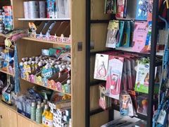 -全心全意连锁动物医院·微创中心·内科急重症·心脏专科(丰管路店)