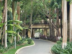 -西双版纳安纳塔拉度假酒店