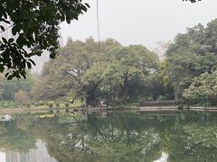 -晓港公园