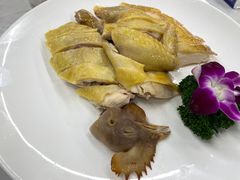 白切鸡-大岭山烧鹅基