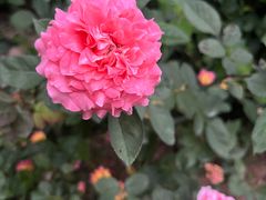 -人民公园(罗湖区)