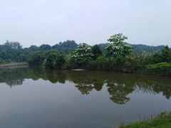 -福建鲤鱼洲酒店