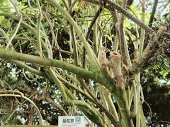 -呀路古热带植物园