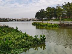 -仙湖旅游度假区