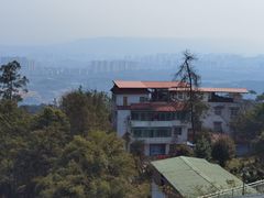 -南山植物园