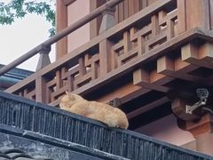 -西园戒幢律寺