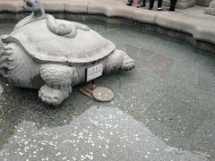 -广东圆玄道观