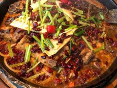 老板恋上鱼-老板恋上鱼(印象城店)